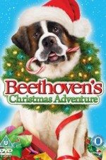 Beethovenin Yeni Yıl Macerası / Beethoven’s Christmas Adventure