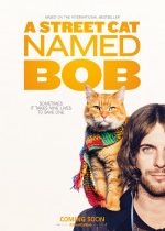Sokak Kedisi Bob / A Street Cat Named Bob