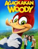 Ağaçkakan Woody / Woody Woodpecker