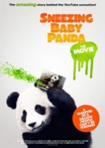 Bebek Panda / Sneezing Baby Panda