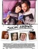 Kaçınılmaz İlişki / Social Animals