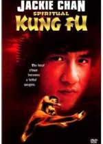 Kareteci Hayaletler / Spırıtual Kung Fu