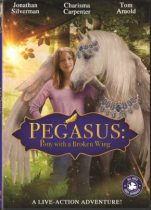 Pegasus Kırık Kanatlı Midilli / Pegasus Pony with a Broken Wing